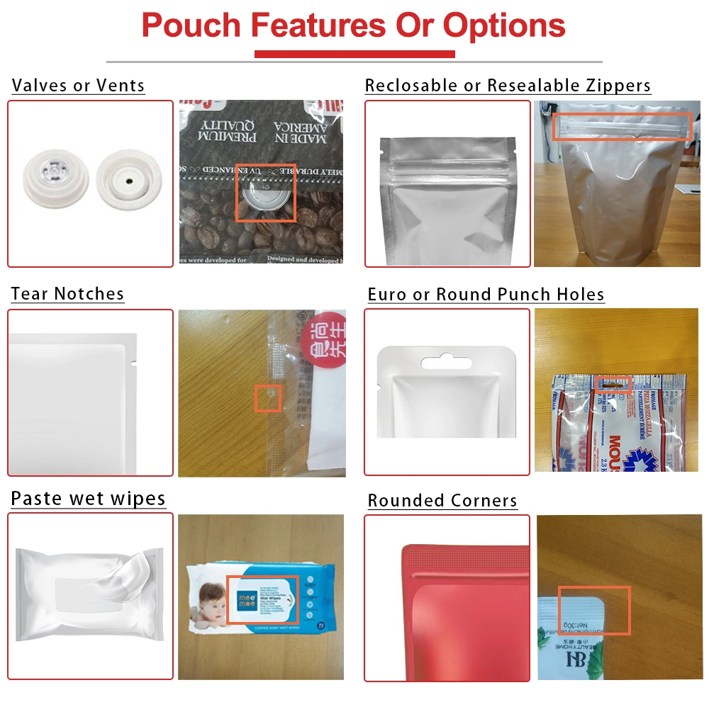 Bg High Quality Flat Pouch Horizontal Solt Powder Packing Machine